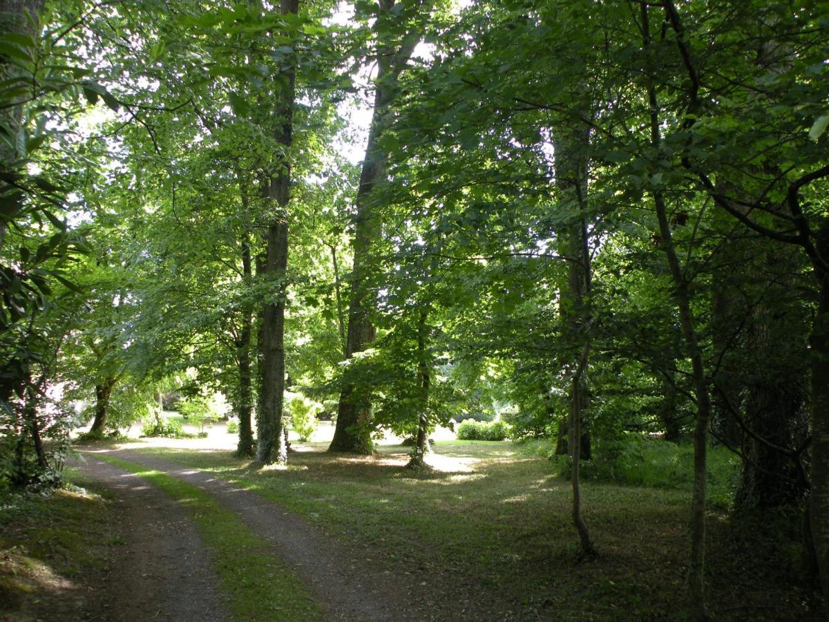 Les Talvasieres Le Mans Exteriér fotografie